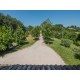 Properties for Sale_FARMHOUSE FOR SALE, AGRITURISTIC ACTIVITY, RECEPTIVE TOURIST STRUCTURE in Petritoli in the Marche region in Italy in Le Marche_9